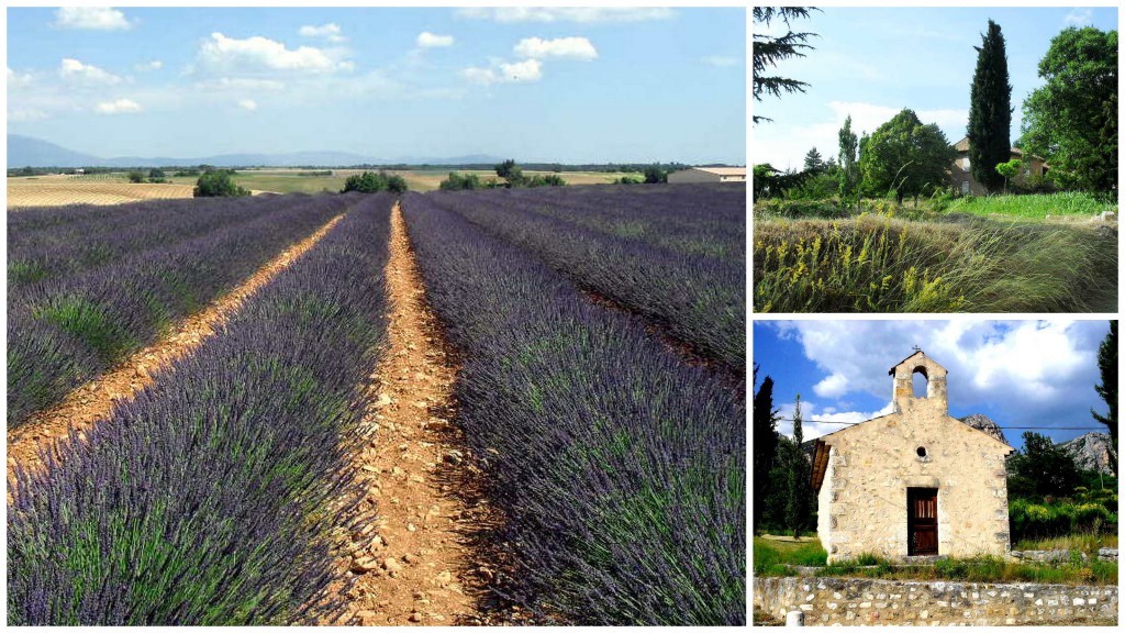 Provence..